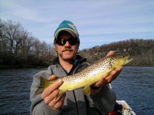 Nice Brown